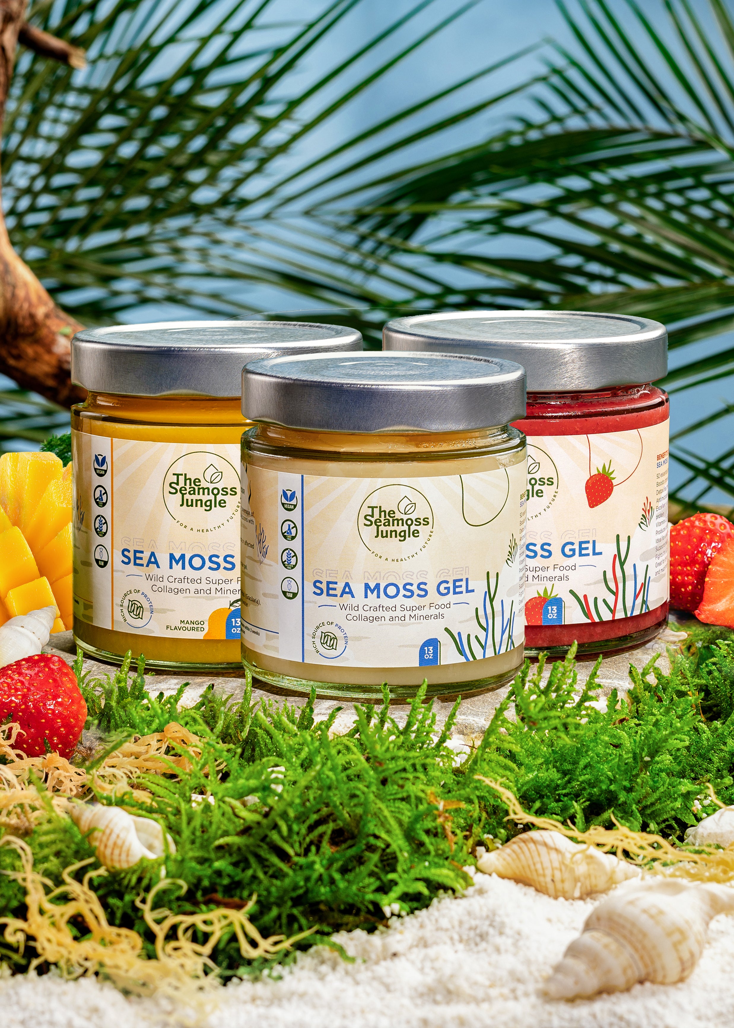 Sea Moss Gel - Pack Familial