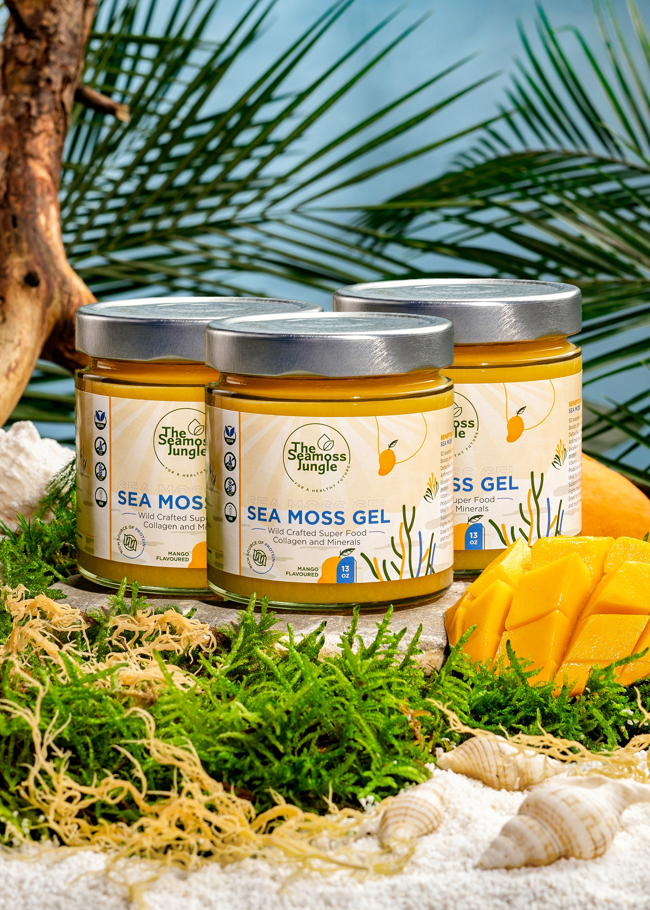Sea Moss Gel - Cure de 3 Mois