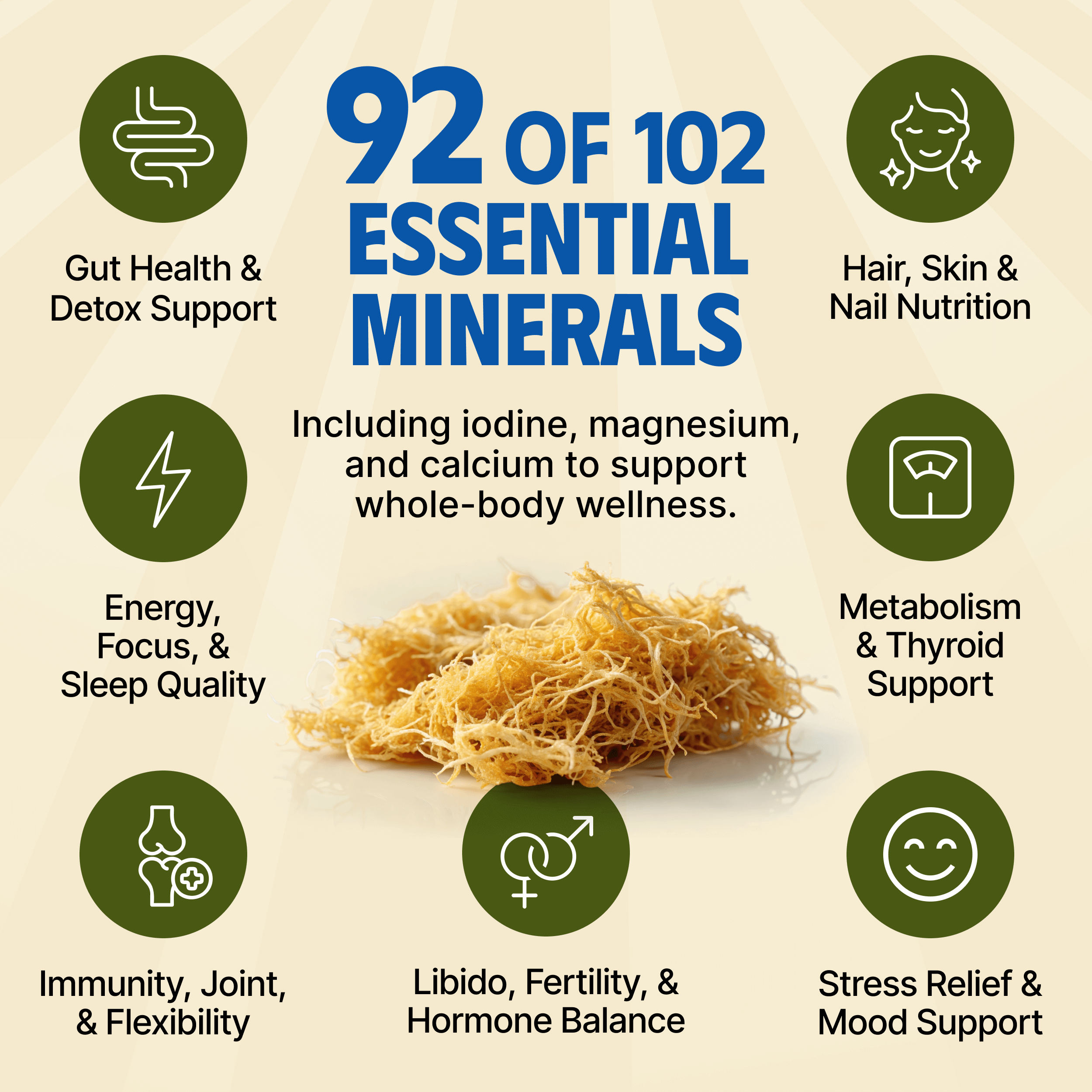 Sea Moss Gel – Ananas - 395 ml