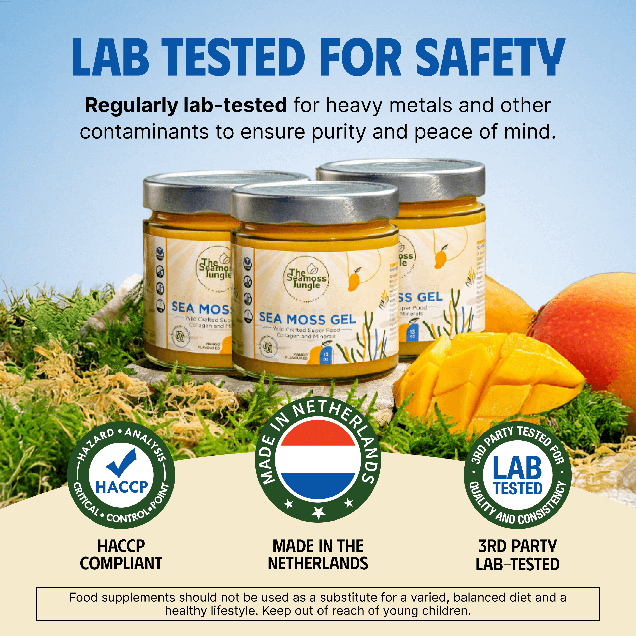 Sea Moss Gel – Mangue - 500 ml