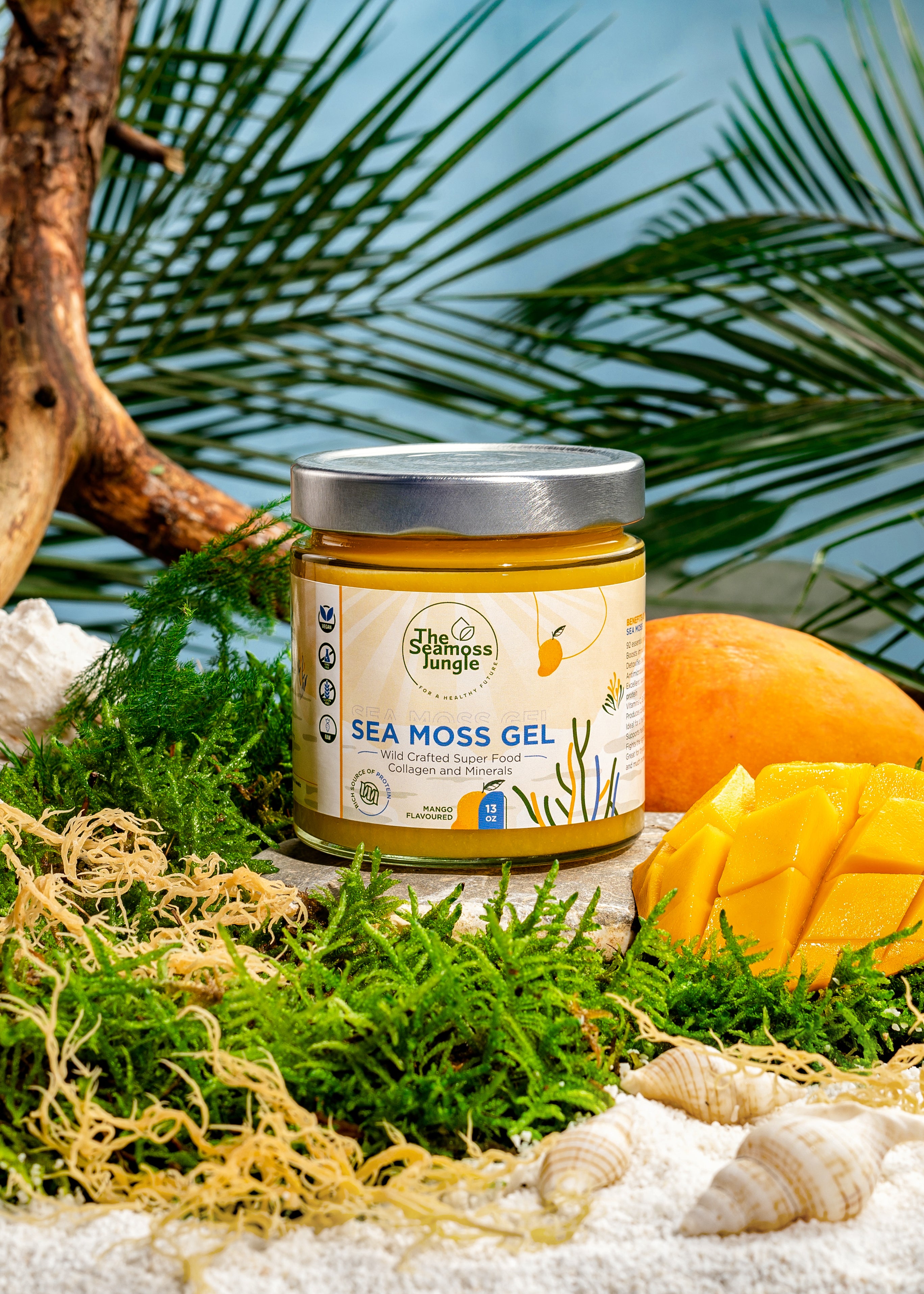 Sea Moss Gel - Pack Familial